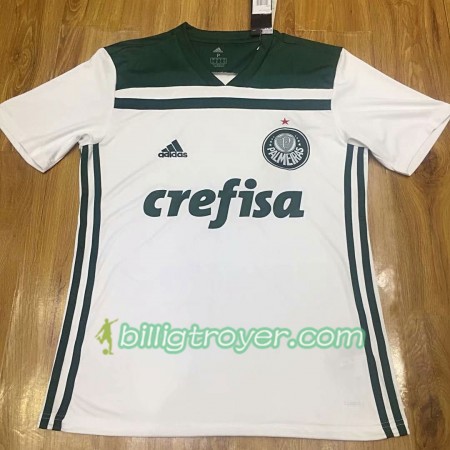 Billige Fotballdrakter Palmeiras 2018/19 Bortedraktsett Kortermet